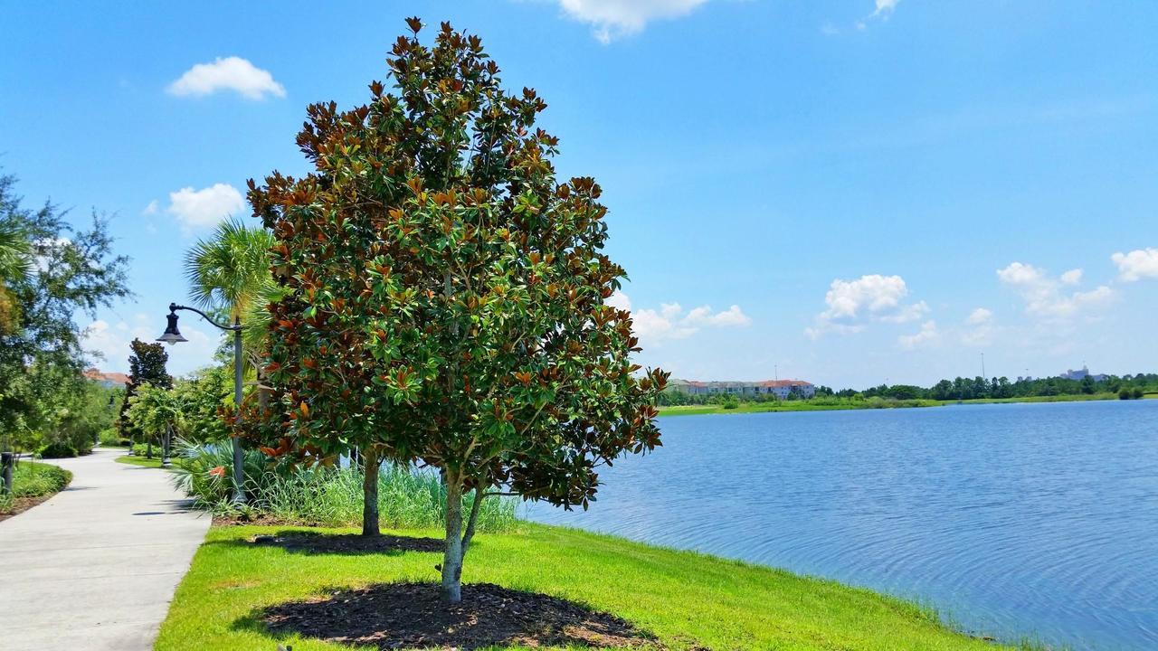Palmavera Deluxe Kissimmee Kültér fotó